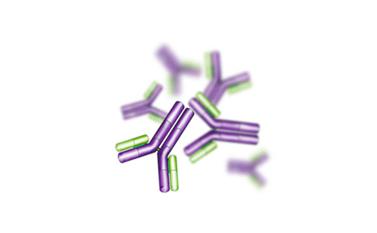羊抗雞IgG（Goat Anti-Chicken IgG antibody ）