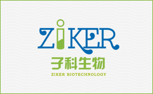 抗壞血酸過氧化物酶（APX）測(cè)試盒（紫外分光光度法）
