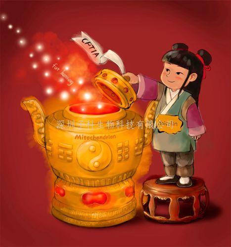 北大學(xué)者PNAS發(fā)現(xiàn)黃芩為何能治療肥胖，脂肪肝等疾病的奧秘