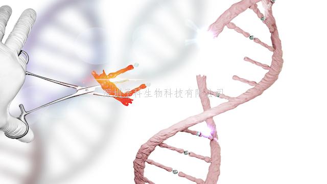 Cell：表觀遺傳新關(guān)注點(diǎn)—mRNA修飾