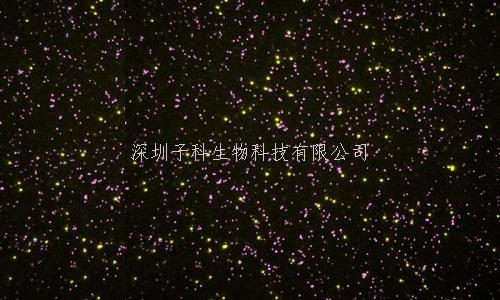 Nature子刊：一種靈敏的蛋白質(zhì)測序方法