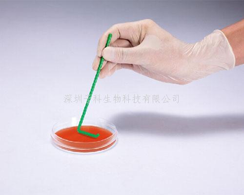 L型細(xì)胞接種推板