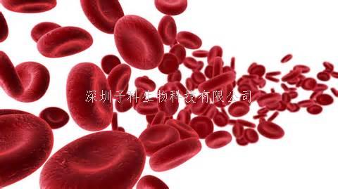 ELISA的樣本收集與前期準(zhǔn)備