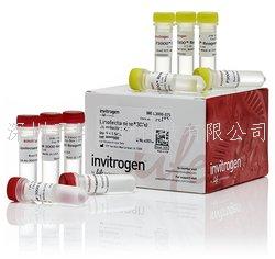 Lipofectamine? 2000轉(zhuǎn)染試劑