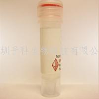 PeproTech重組人IGF Binding Protein-5/100-05
