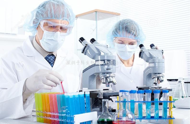 Genes & Development：USTC復合物在piRNA轉(zhuǎn)錄中的功能