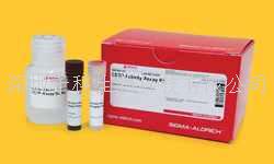K-LISA IKKbeta Inhibitor Screening Kit，貨號：CBA044-1KIT