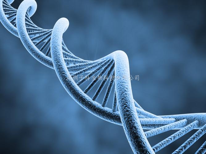 Science子刊：基因編輯視網(wǎng)膜感光細胞治療遺傳性致盲疾病