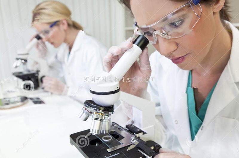 科學(xué)家首次捕捉到Cas9酶切割DNA的清晰圖像