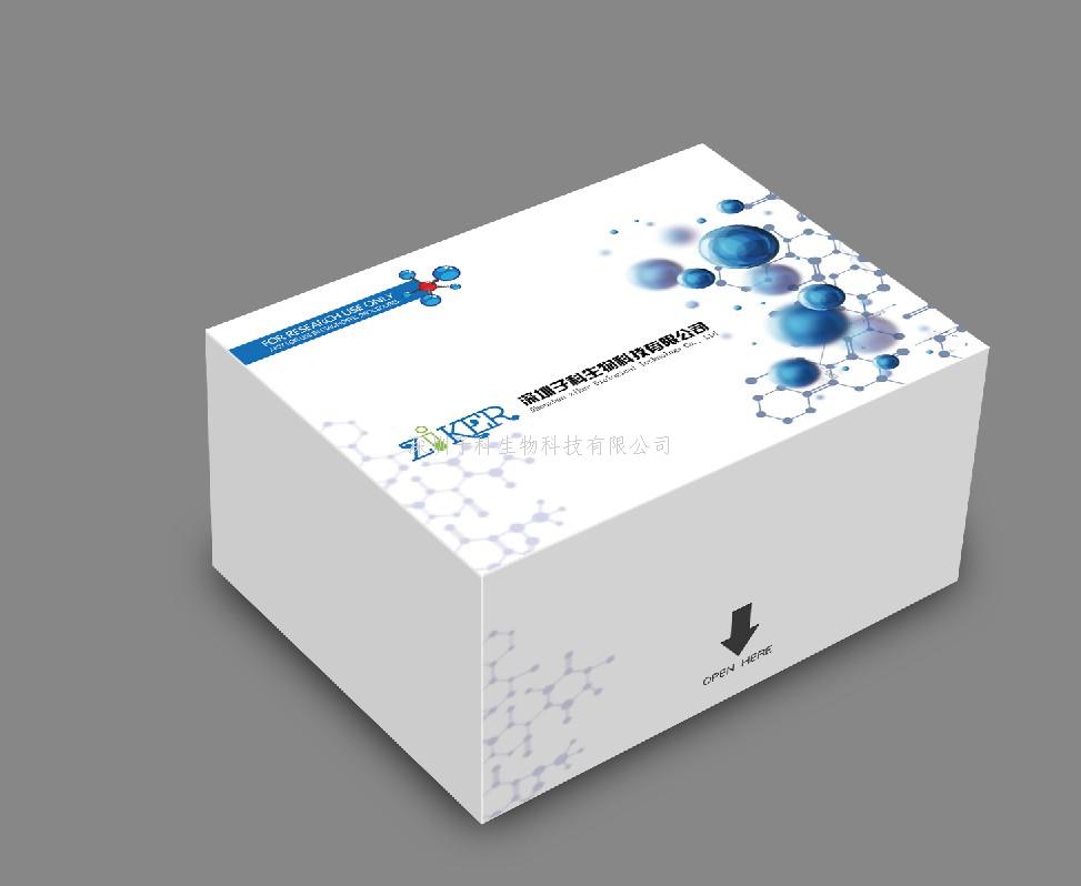 Anti-5-HT  5-羥色胺抗體