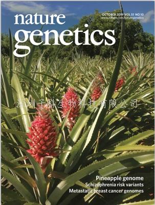 福建農(nóng)林大學發(fā)表Nature Genetics封面文章：高質(zhì)量菠蘿基因組