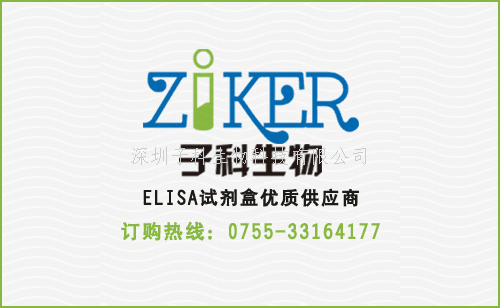 大鼠細(xì)胞色素P450家族成員7A1（CYP7A1）ELISA檢測(cè)試劑盒