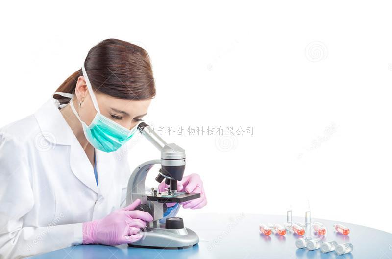 深圳大學(xué)團(tuán)隊(duì)發(fā)現(xiàn)參與心肌梗死后組織修復(fù)的重要分子