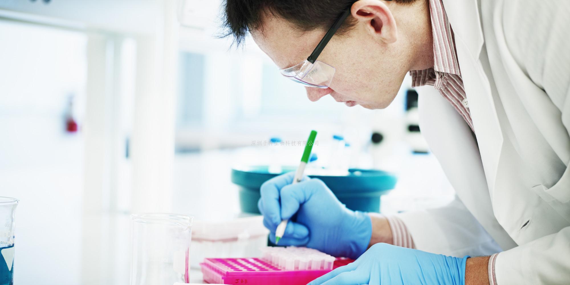 上海巴斯德所聯(lián)合復(fù)旦大學(xué)和上?？萍即髮W(xué)揭示惡性瘧原蟲編碼超大膜蛋白VAR2CSA識(shí)別胎盤及腫瘤細(xì)胞的分子