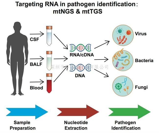 微生物所王軍團(tuán)隊(duì)建立靶向RNA的病原檢測新方法mtNGS和mtTGS