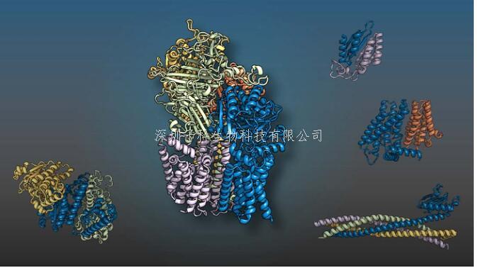 Science：人工智能成功預(yù)測(cè)了蛋白質(zhì)的相互作用
