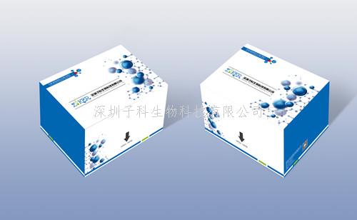 植物（Plant）硝酸還原酶（NR）ELISA檢測(cè)試劑盒
