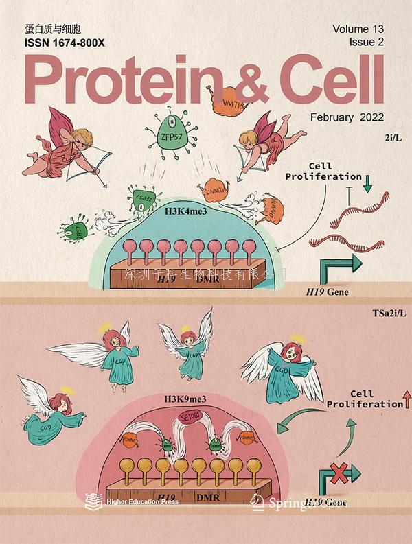 李勁松組建立父源印記表觀修飾完整的類精子干細(xì)胞