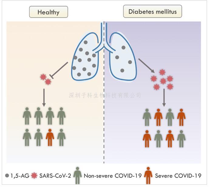 Nature Metabolism：一種血糖相關(guān)代謝小分子可有效阻抑新冠感染重癥