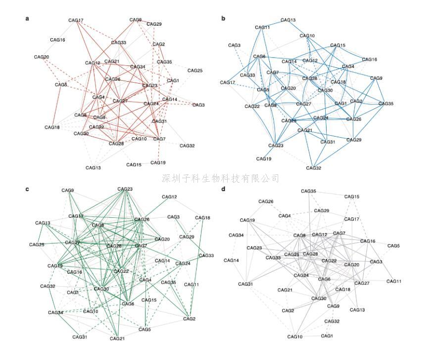 上海交大張晨虹團隊合作研究系統(tǒng)性揭示運動及飲食干預(yù)脂肪肝的改善效果與個體腸道菌群網(wǎng)絡(luò)的聯(lián)系