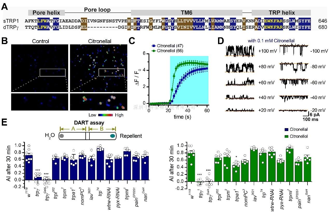 姚鏡課題組在PNAS發(fā)文報道了TRP通道研究的新進展