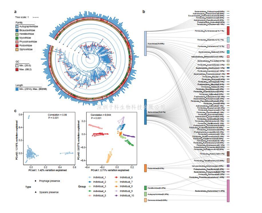 Nature Communications｜微生物所王軍研究組結(jié)合三代測序合作解析腸道菌群結(jié)構(gòu)變異和功能