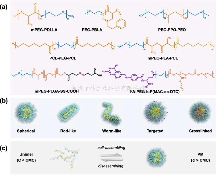 吳偉教授課題組受邀在Adv Drug Deliver Rev雜志發(fā)表綜述論文：聚合物膠束體內命運