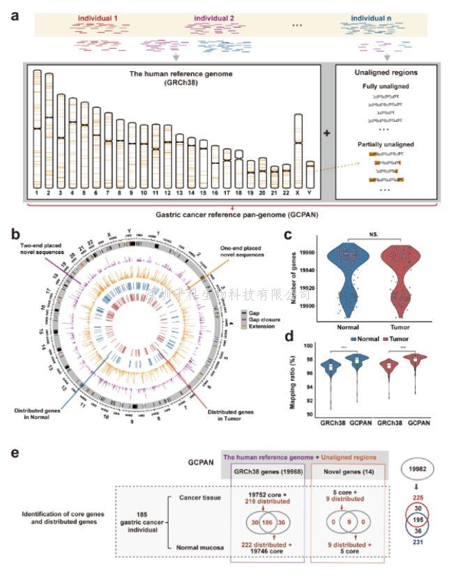 上海交大韋朝春團隊合作完成胃腫瘤泛基因組研究