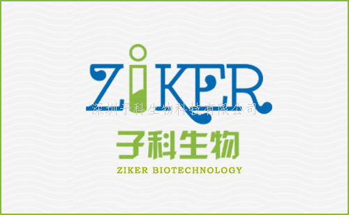 大鼠輪狀病毒抗體 IgA（RV-IgA-Ab） ELISA檢測(cè)試劑盒