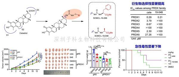 STTT | 上海藥物所合作開發(fā)靶標發(fā)現新工具并用于雷公藤紅素的靶標發(fā)現