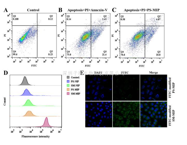 胡良海教授團(tuán)隊在外泌體與細(xì)胞質(zhì)膜識別研究領(lǐng)域取得重要進(jìn)展