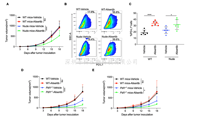 JCI | 上海藥物所合作發(fā)現(xiàn)Aurora A激酶抑制劑上調PD-L1導致免疫抑制和腫瘤耐藥