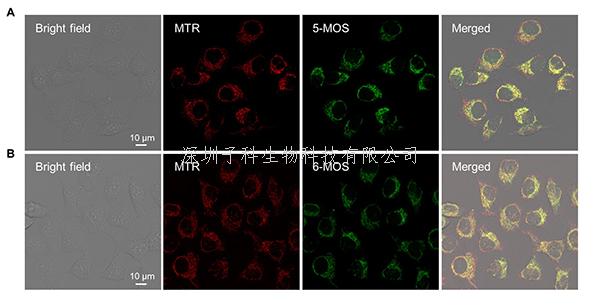 昆明植物所與合作者發(fā)現(xiàn)植物香豆素異構體的熒光特性、機理及其細胞成像的潛在價值