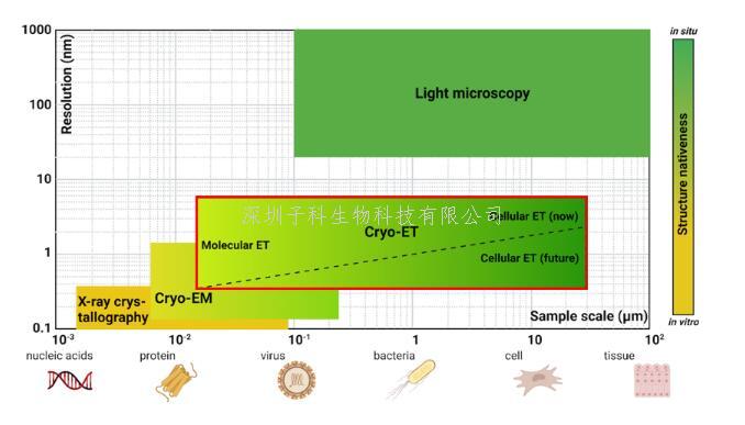 賽課題組總結(jié)cryo-ET的技術(shù)突破及其帶來的分辨率革命