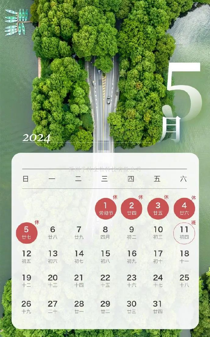 2024年子科生物五一放假通知