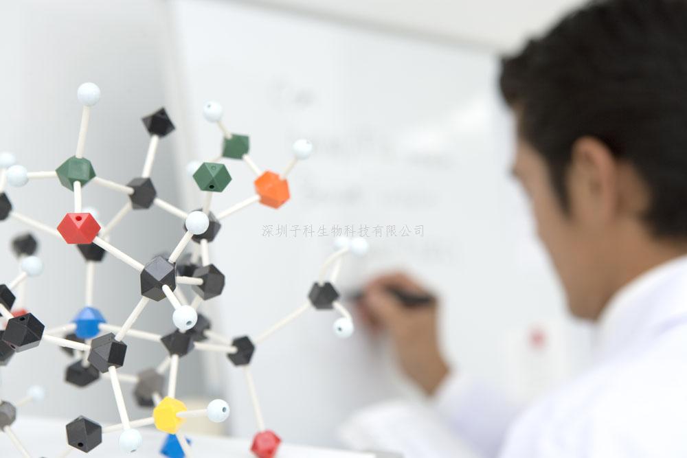 Nature Chemical Engineering：上海交大鄧楠楠課題組發(fā)現(xiàn)界面能調(diào)控人工細胞跨膜運輸新機制