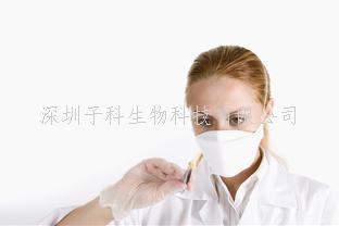 生物工程的革命：細(xì)菌助力DNA-蛋白質(zhì)雜交分子的大規(guī)模合成