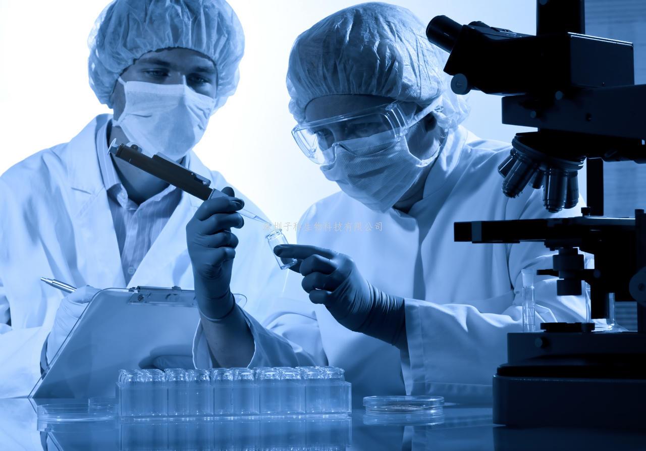 Science：設(shè)計人工蛋白質(zhì)的新方法