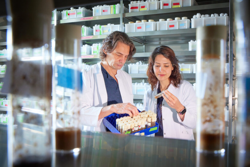 張鋒團隊發(fā)文《Science》介紹一種簡化基因編輯療法的古老的RNA引導系統(tǒng)